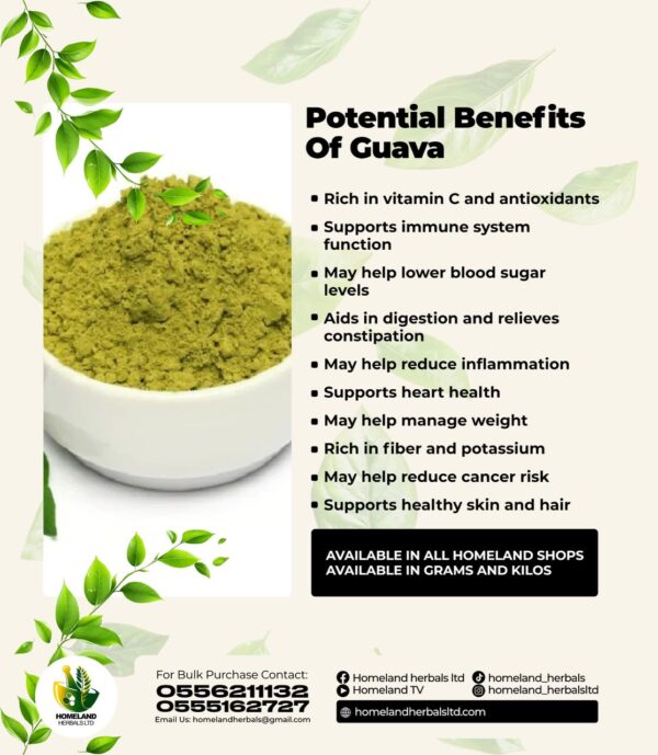 Guava leaf powder - Image 2
